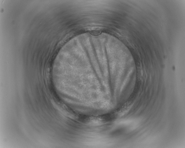 X0000070420263200607072342