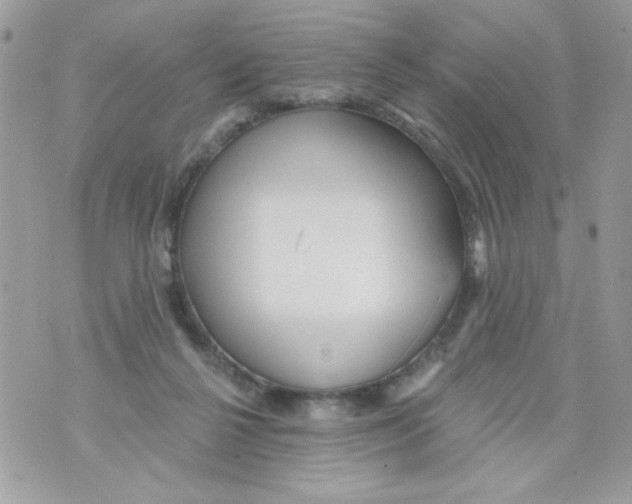 X0000070420264200607072342