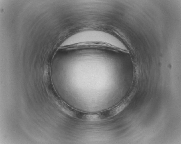 X0000070420265200607072342