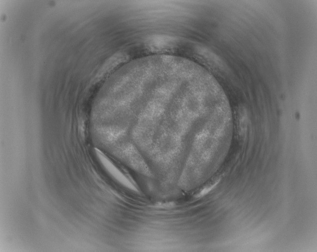 X0000070420266200607072342