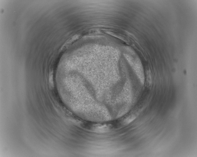 X0000070420267200607072342