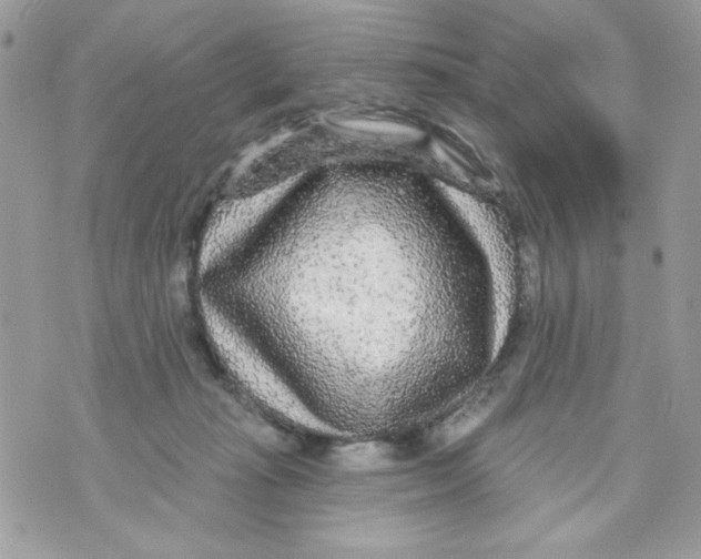 X0000070420269200607072342