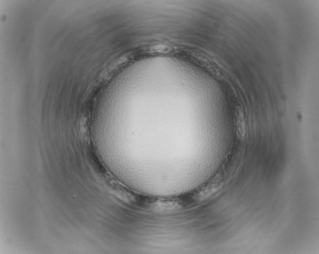 X0000070420270200607072342