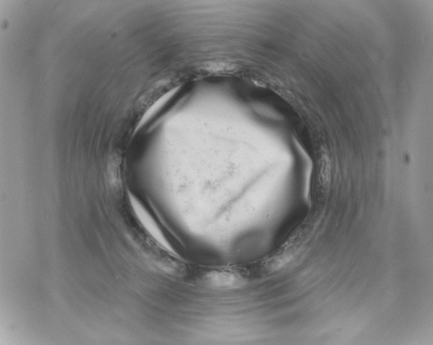 X0000070420272200607072342