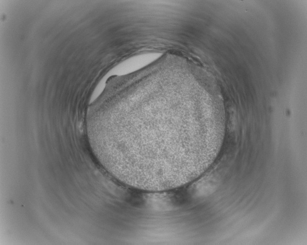 X0000070420273200607072342