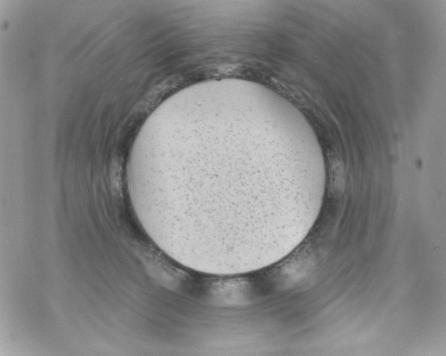 X0000070420274200607072342