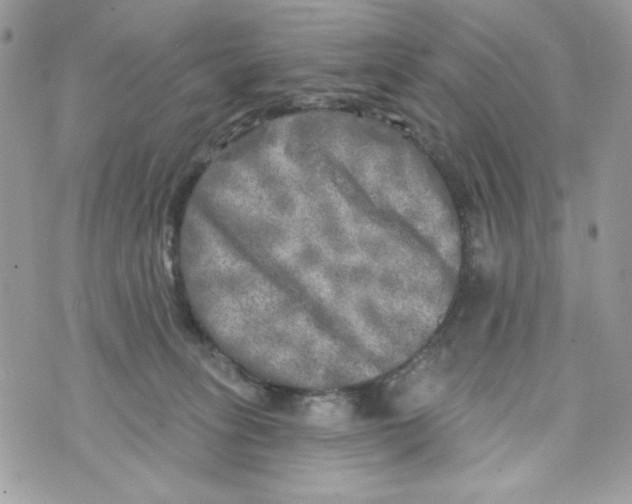 X0000070420275200607072342