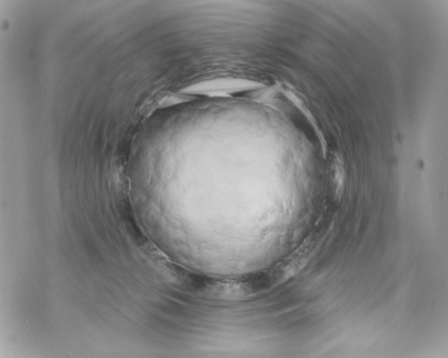 X0000070420276200607072342