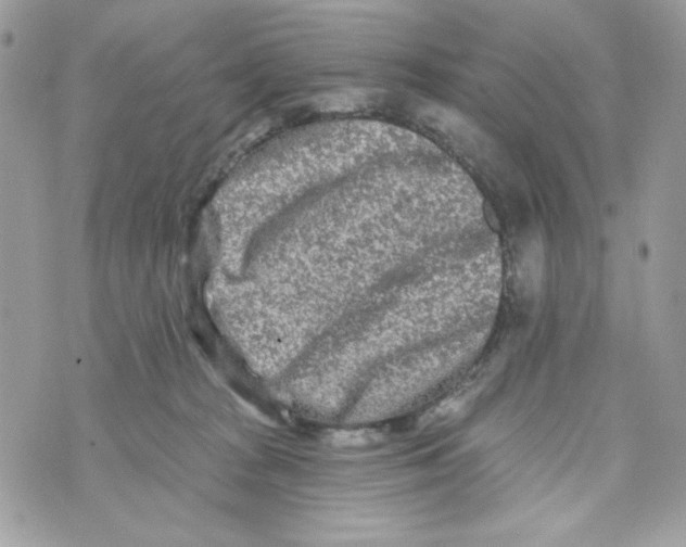 X0000070420277200607072342