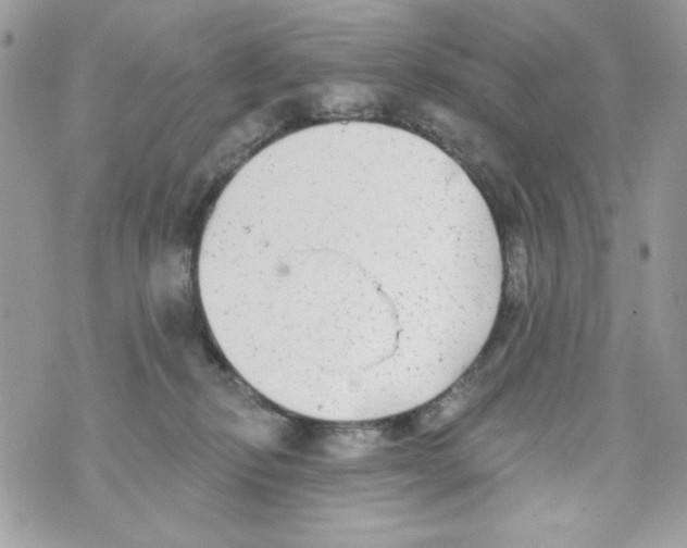 X0000070420278200607072342