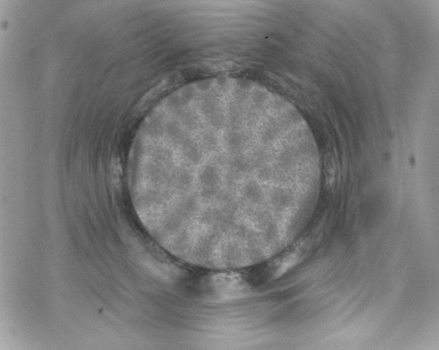 X0000070420279200607072342