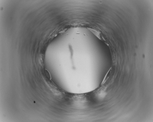 X0000070420280200607072342