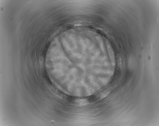 X0000070420283200607072342