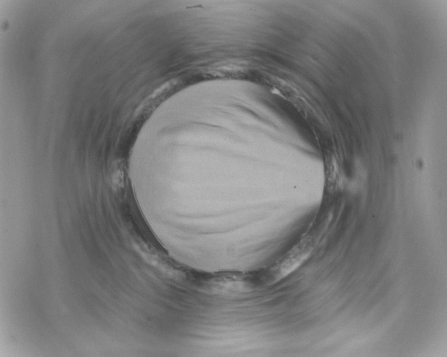 X0000070420284200607072342