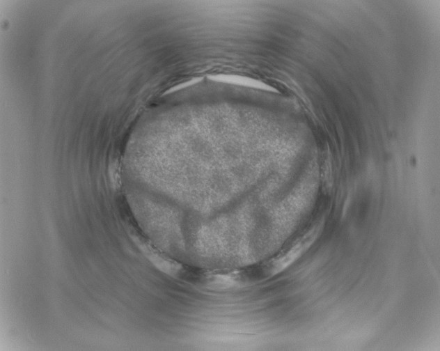 X0000070420285200607072342