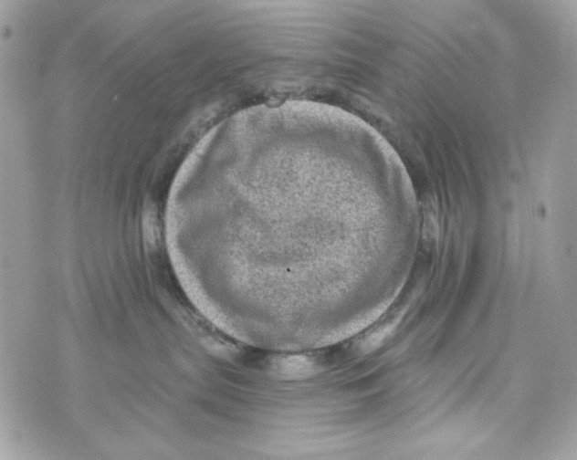 X0000070420287200607072342