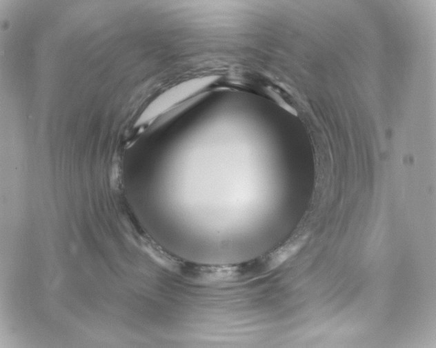 X0000070420288200607072342