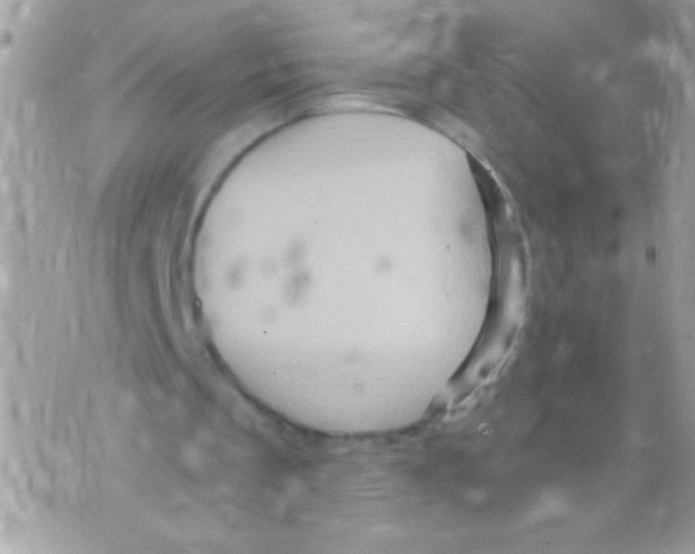 X0000070420289200607072341