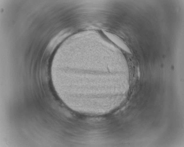 X0000070420291200607072341