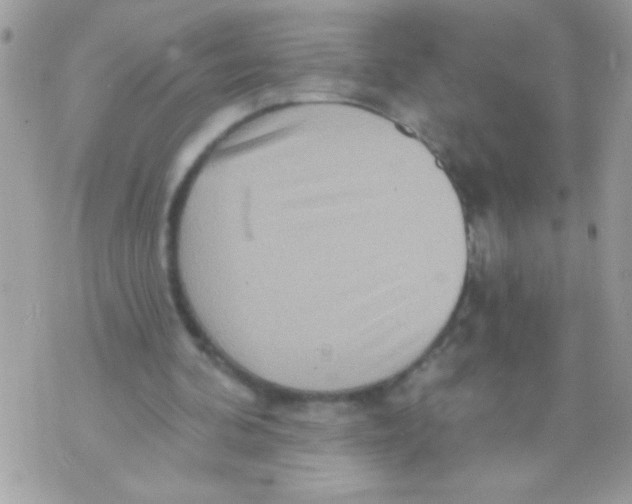 X0000070420292200607072341