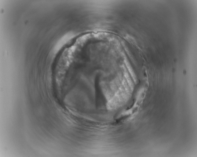 X0000070420295200607072341