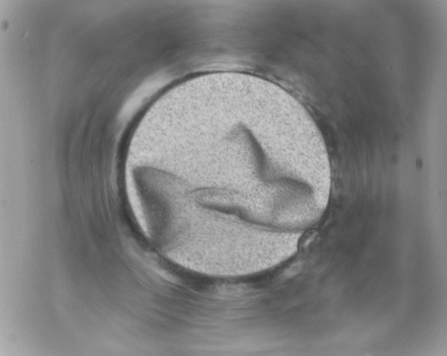 X0000070420296200607072341