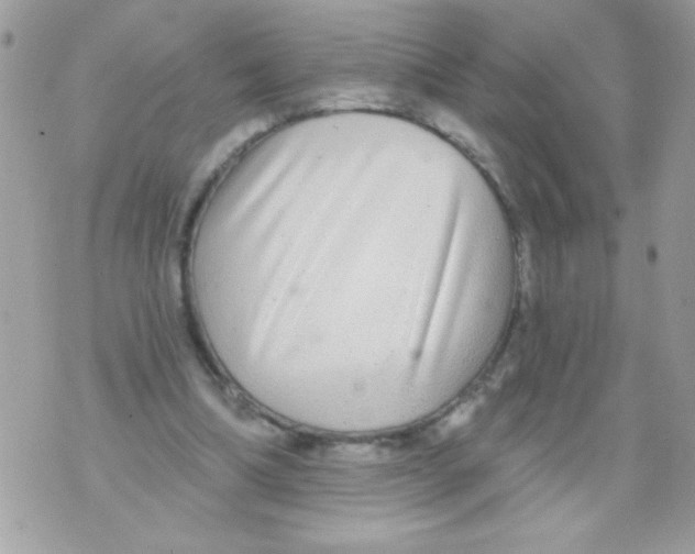 X0000070420298200607072341