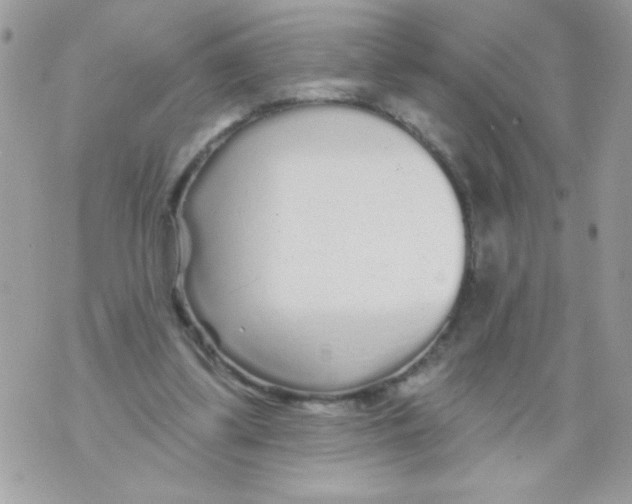 X0000070420299200607072341