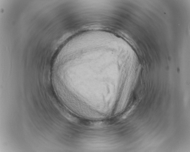 X0000070420301200607072341