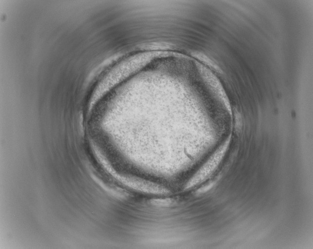 X0000070420302200607072341