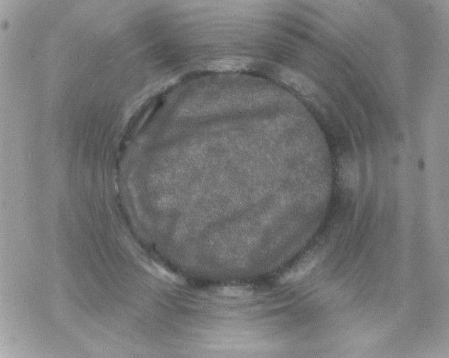 X0000070420303200607072341