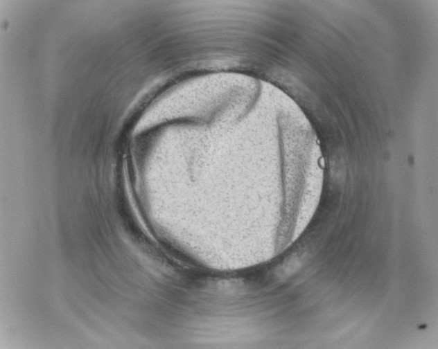 X0000070420304200607072341