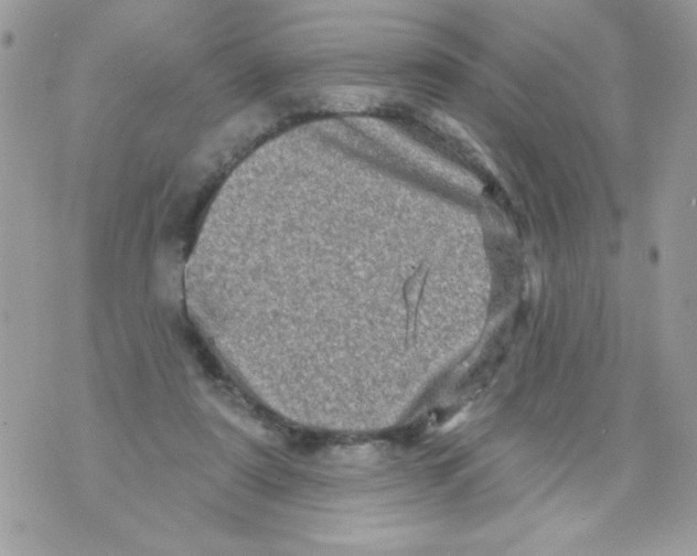 X0000070420307200607072341