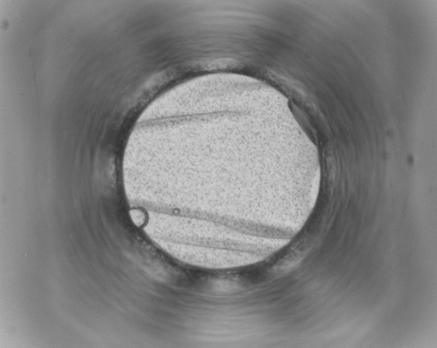 X0000070420308200607072341