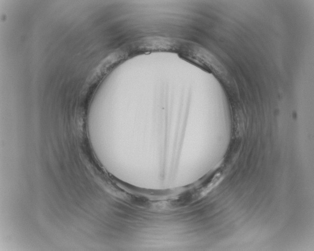 X0000070420309200607072341