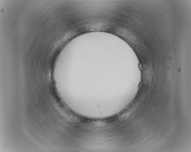 X0000070420310200607072341