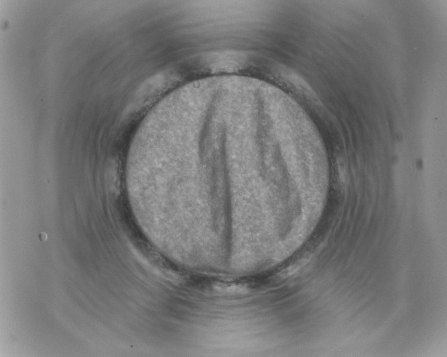 X0000070420311200607072341