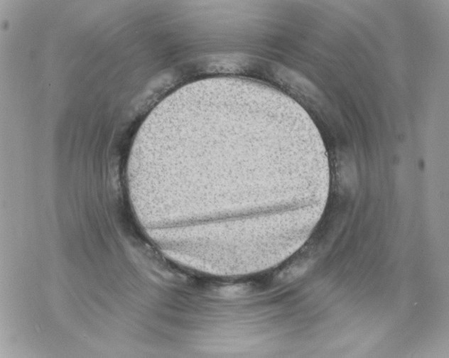 X0000070420312200607072341