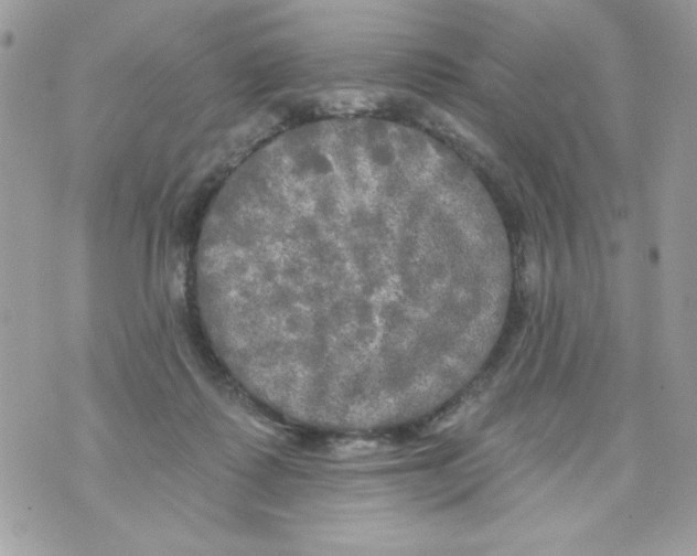 X0000070420315200607072341