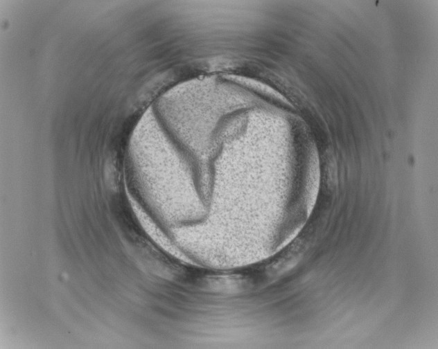 X0000070420316200607072341