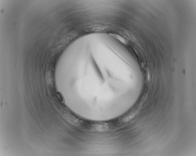 X0000070420317200607072341