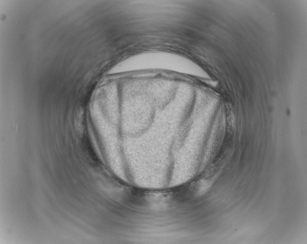 X0000070420319200607072341