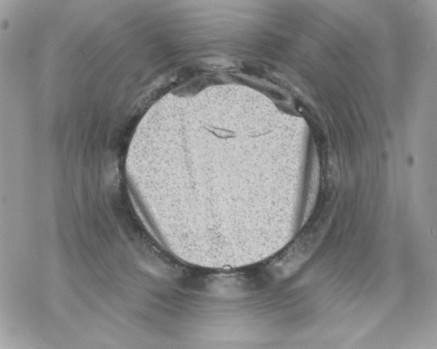 X0000070420320200607072341