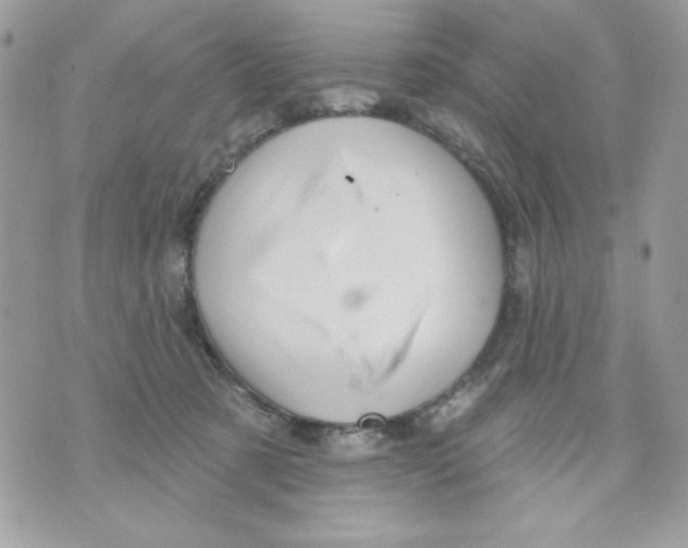 X0000070420321200607072341