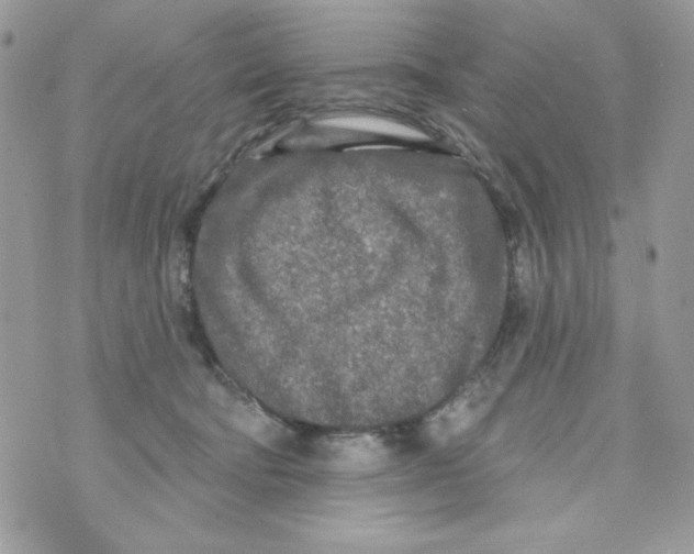 X0000070420322200607072341