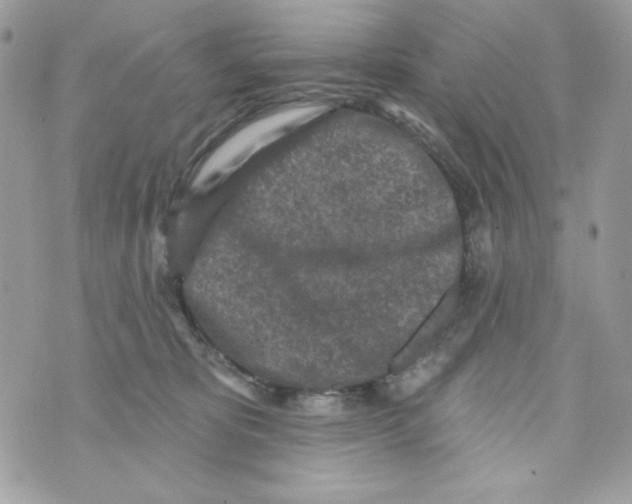 X0000070420325200607072341