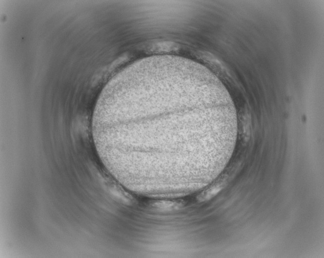 X0000070420326200607072341