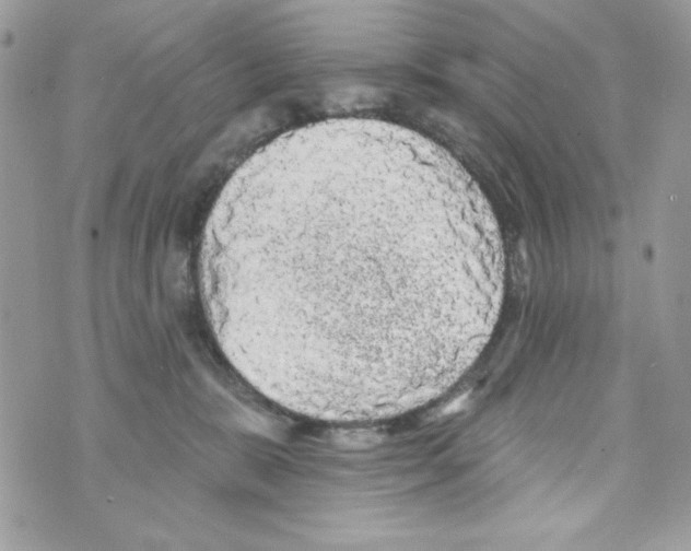 X0000070420327200607072341