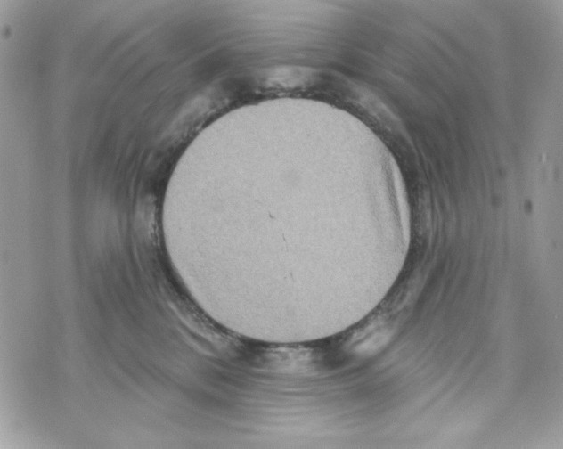 X0000070420328200607072341