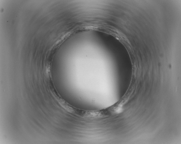 X0000070420329200607072341